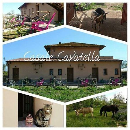 Bed and Breakfast Casale Cavatella à Sermoneta Extérieur photo